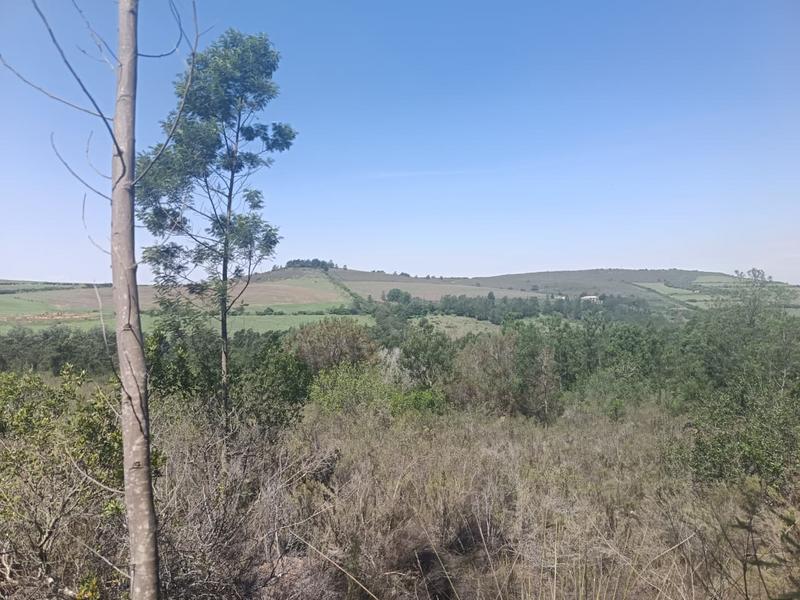 0 Bedroom Property for Sale in Albertinia Western Cape